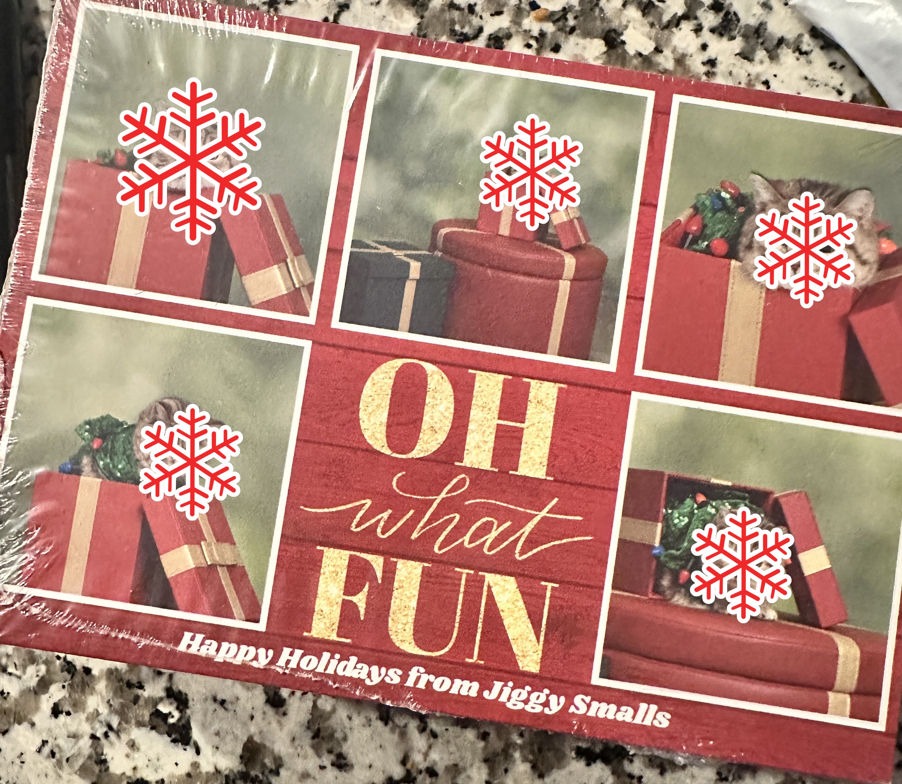 (BLANK) PHYSICAL JIGGY SMALLS HOLIDAY CARD